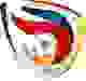 印尼丙logo