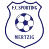 梅尔齐格logo